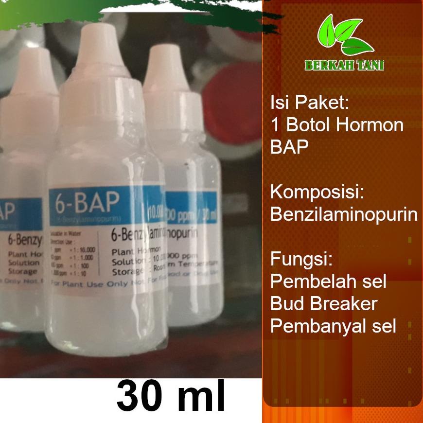 ⚡iap Kirim Hormon BAP 30 ml Bud Breaker Penumbuh Bunga Anggrek termurah se indonesia
