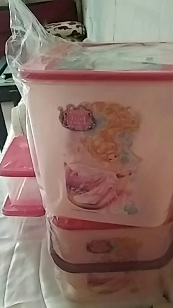 Onyx Kotak Penyimpanan / Vito Box Small Barbie Pearl Princess 5.2 L