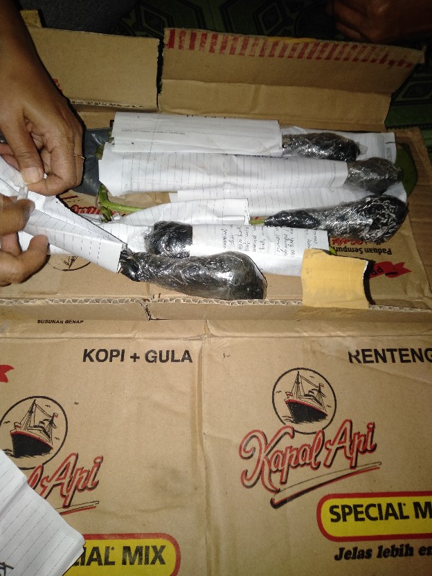 Tanaman Hias Srigading Susu