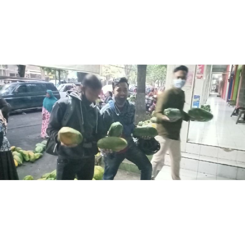 

Pepaya Anti Sembelit