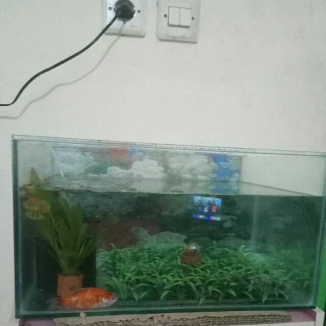 Aquarium +radiator