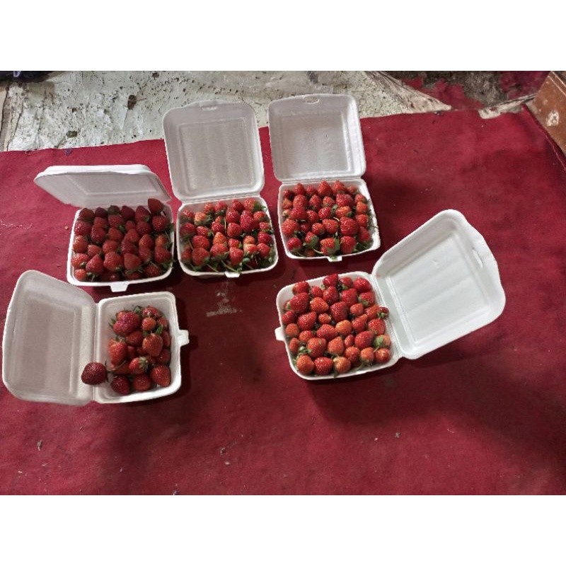 

buah strawberry segar 100 g - 1 kg ukuran mix mimarsop PROMO murah