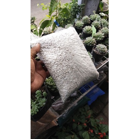 perlite media Tanam