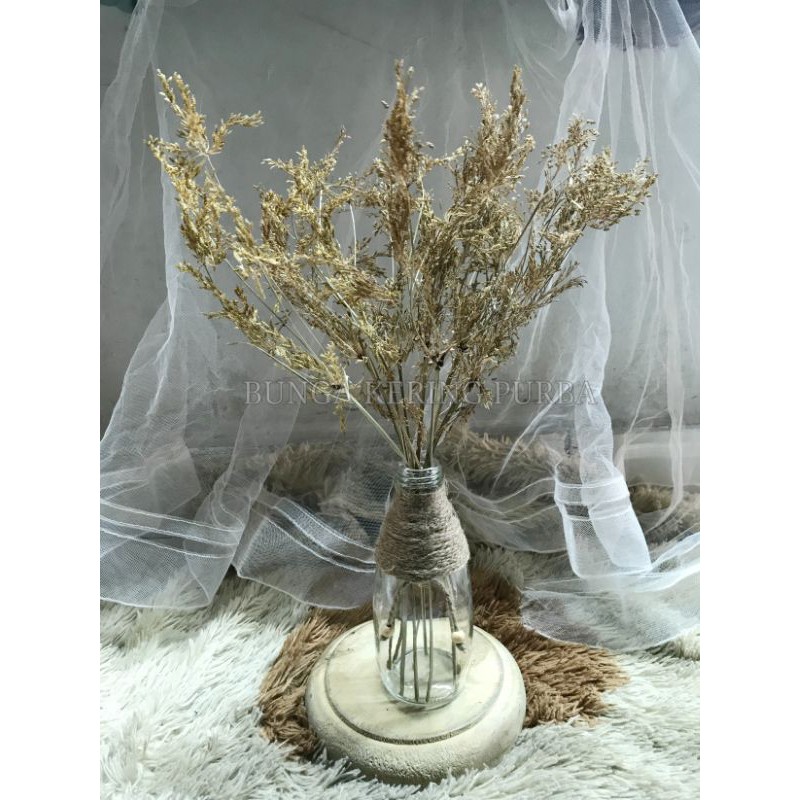 12 bunga teki kering / bunga kering dekorasi / bunga kering rumput