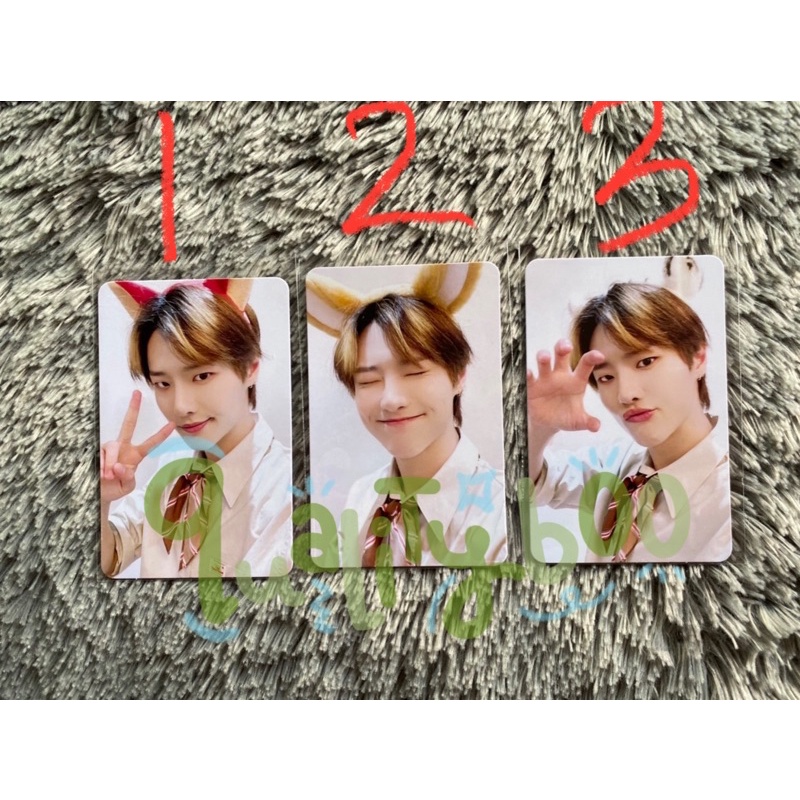 PC PHOTOCARD WOODZ MAKESTAR 3 Colorful Trauma