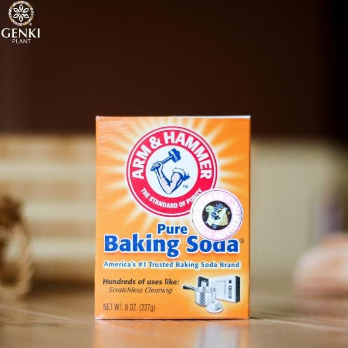 

Arm & Hammer Pure Baking Soda - 227 g BOOM SALE Kode 700