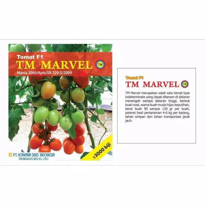 Bibit Tomat Tani Murni TM Marvel - 3000 biji