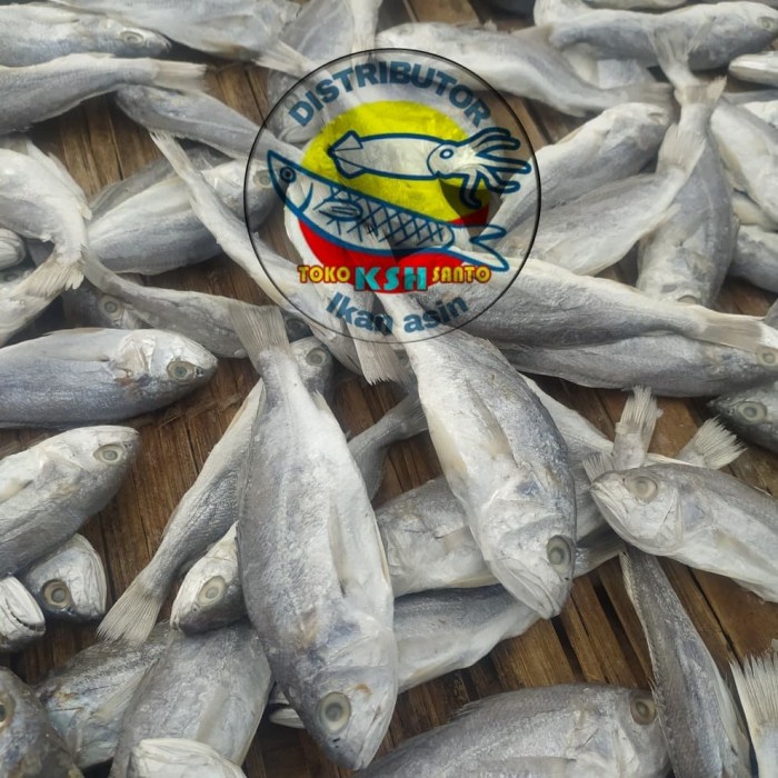 

Q121Sa Ikan Asin Samgge Kepala Batu 500Gram D51qs44