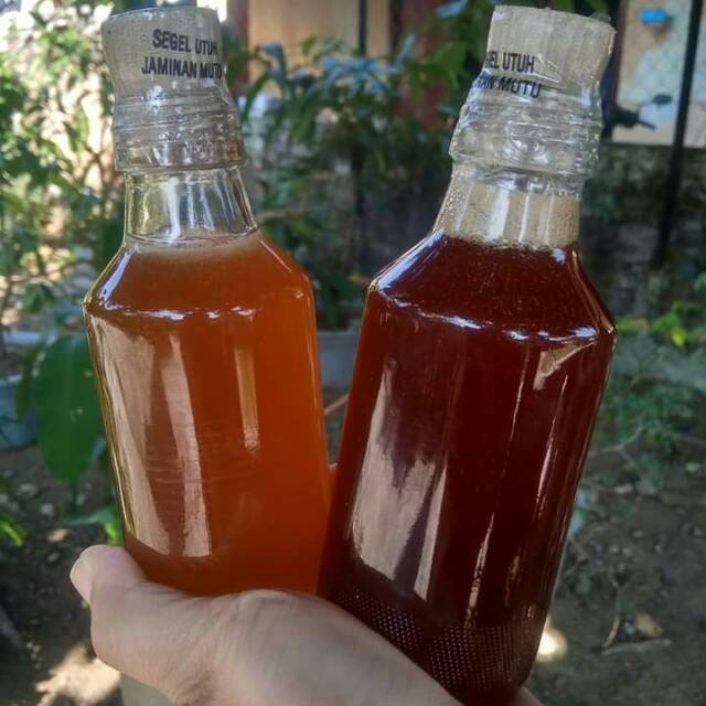 

madu hutan asli