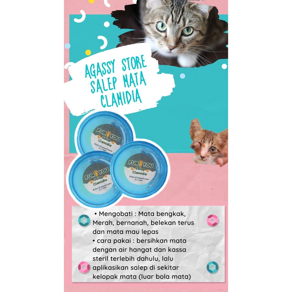 FurYou Salep mata clamidia salep mata clamydia kucing salep mata paten
