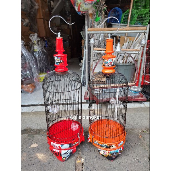 Kandang Sangkar Pleci Kolibri decal