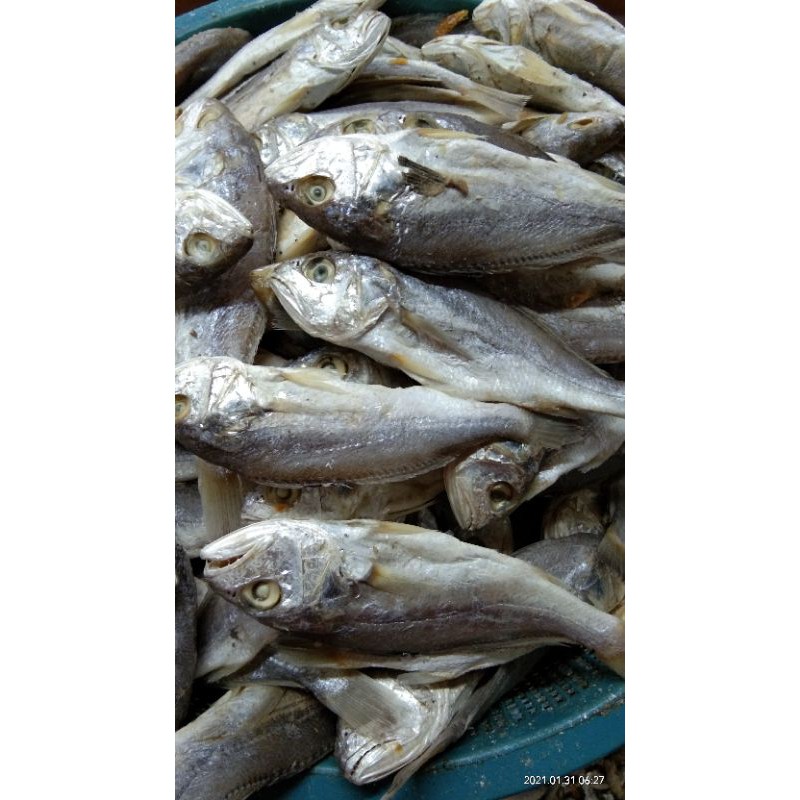 

IKAN ASIN KEPALA BATU MEDAN