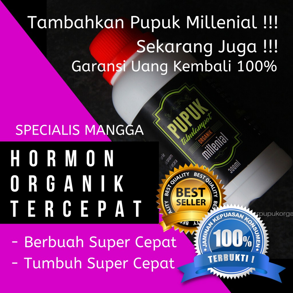 Pupuk Mangga Cepat Berbuah, Pupuk Mangga Berbuah Lebat, Pupuk Mangga Dalam Pot