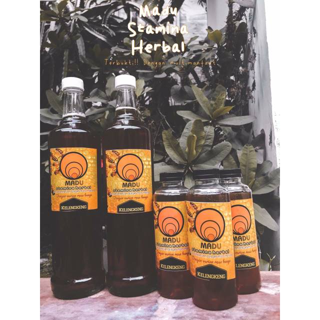 

Madu Lebah Pohon Kelengkeng