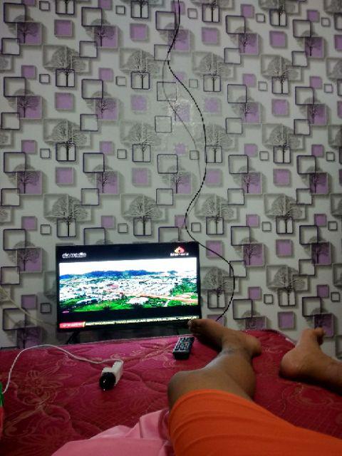 Wallpaper Sticker Dinding Kotak Pohon Ungu 3d Walpaper Stiker