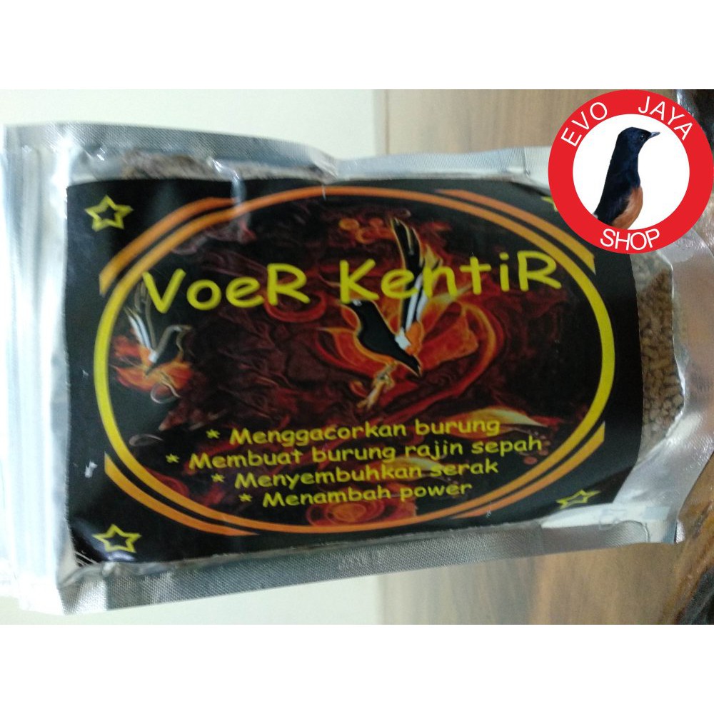 TERLARIS VOER KENTIR pakan murai batu khusus lomba