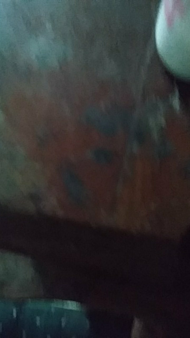 Tempat Surat Ukuran S / Keranjang Plastik Serbaguna Buah Dan Sayur Doky