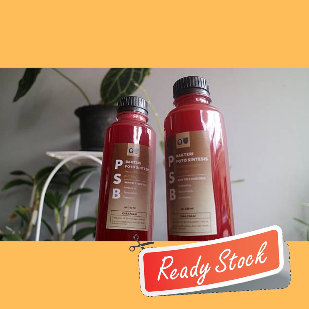 PSB photosynthesis bacteria 1 liter