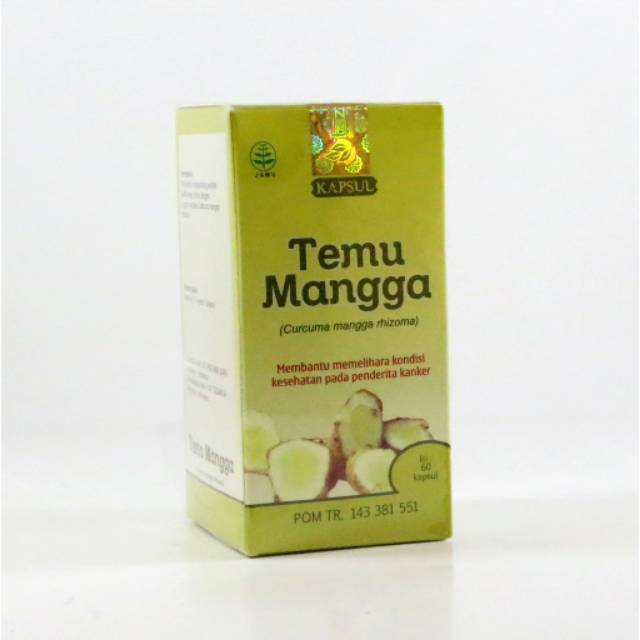 Jual Temu Mangga Solusi Penyembuhan Fatty Liver | Shopee Indonesia