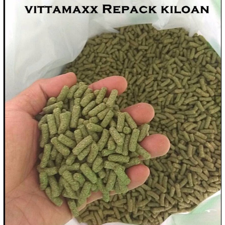 Noministnow: Makanan Kelinci Adalah