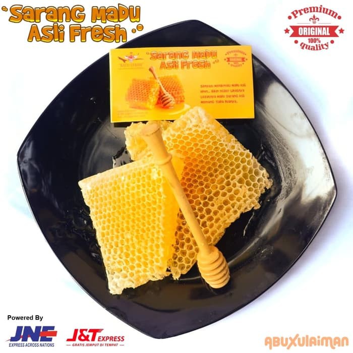 

Madu Sarang | Sarang Lebah | Sarang Madu - MMD1100