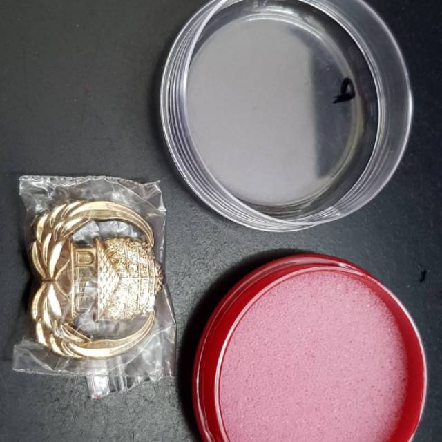 pin korpri / lencana korpri