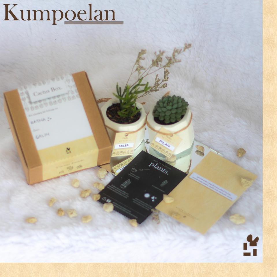 

GW0 Paket Kado/Hadiah Planting Kit Kaktus |CAC.TWIN| ❅ ✪ ・