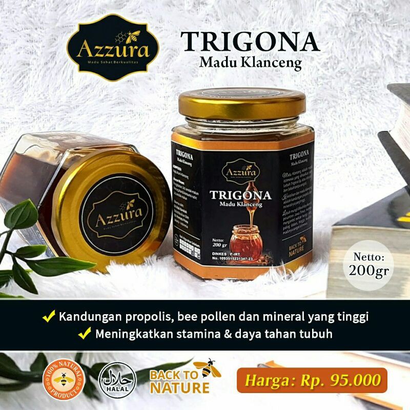 

madu TRIGONA KALENG