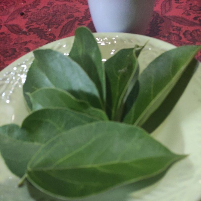 

Daun cincau segar per 30 lembar