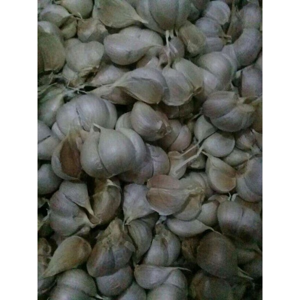 

bawang putih kating