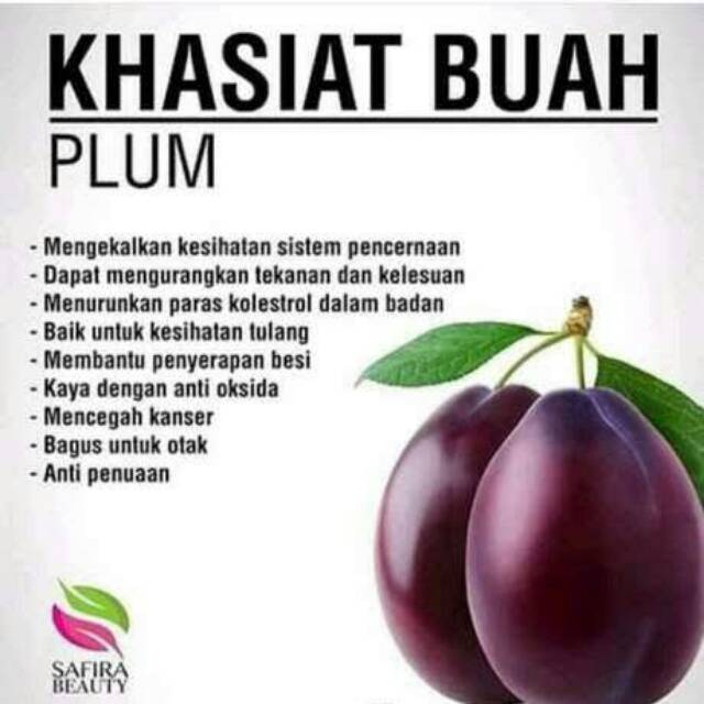 

Buah Plum