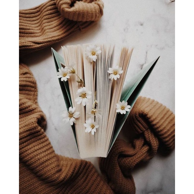 SUSU DUTCHMILL SACHET