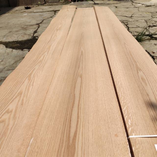 Veneer kayu red oak