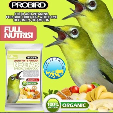 PAKAN BURUNG PLECI CIBLEK GELATIK PRENJAK VOER FRUITS NECTAR PROBIRD