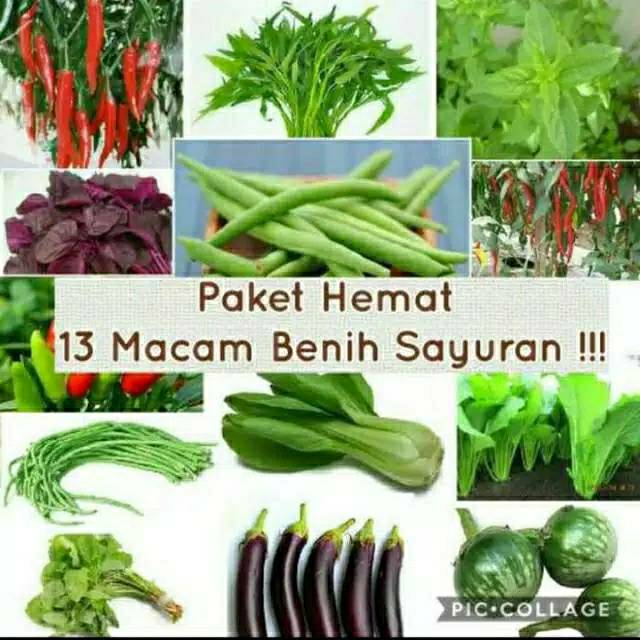 Paket Hemat Benih dan Bibit 13 jenis Sayuran dan Buah