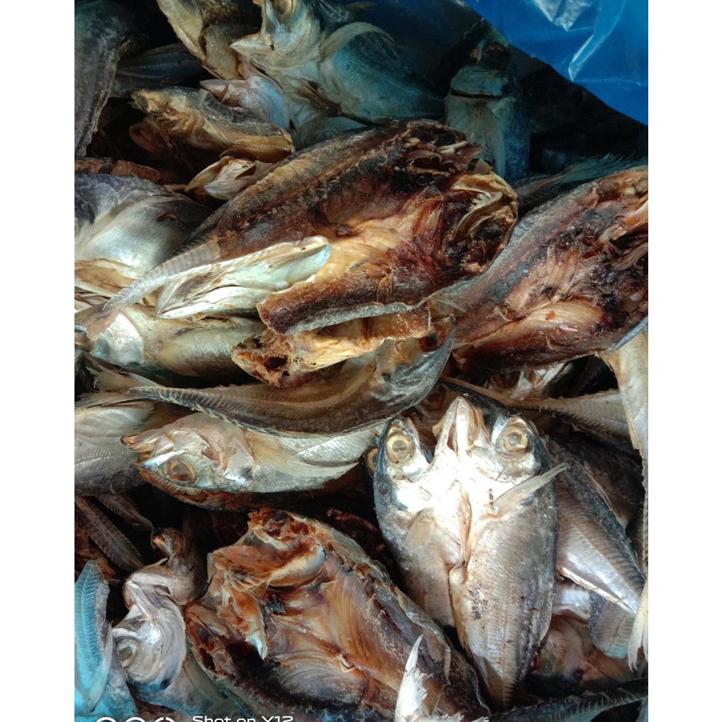 

IKAN ASIN CINCARU BELAH ISI 1 KG