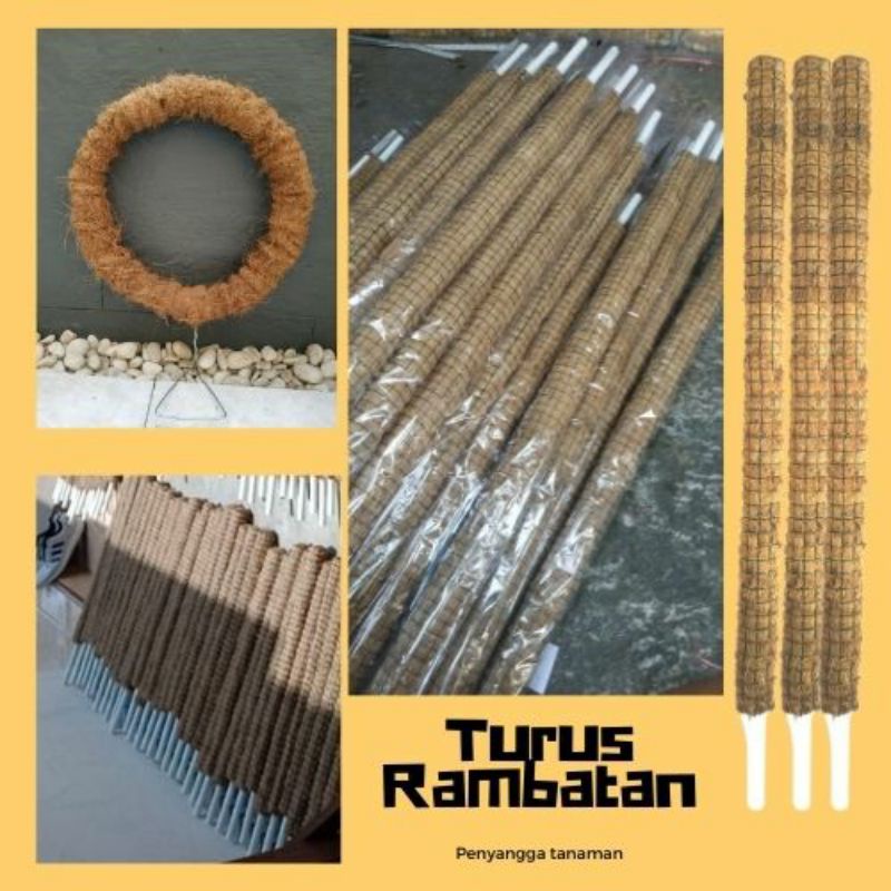 Rambatan | Turus | Tiang penyangga tanaman | Tanaman merambat | Tongkat stick | Lanjaran