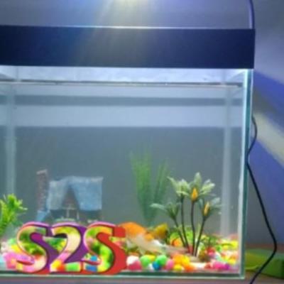 KESEMPATAN TERAKHIR LAMPU AQUARIUM STIK Lampu Soliter Lampu Cupang Lampu Aquascape Lampu Chana Lampu