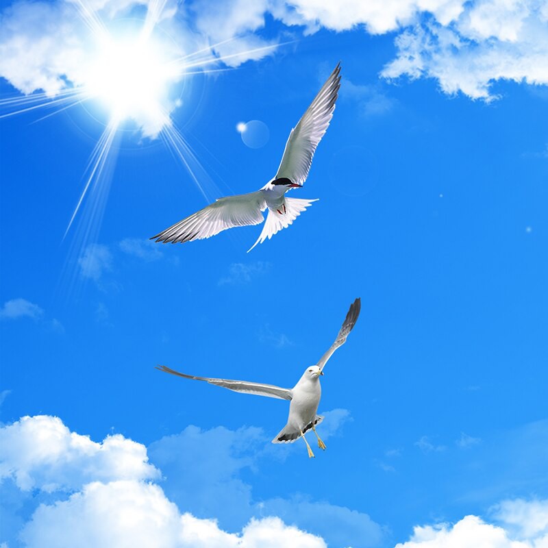 Langit Biru Awan Putih Putih Merpati Kustom 3d Foto Wallpaper Ruang Tamu Kamar Tidur Shopee Indonesia