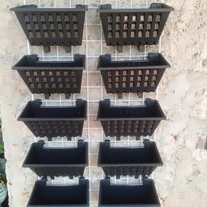 Rak Ram Besi + Pot Tataviolashop