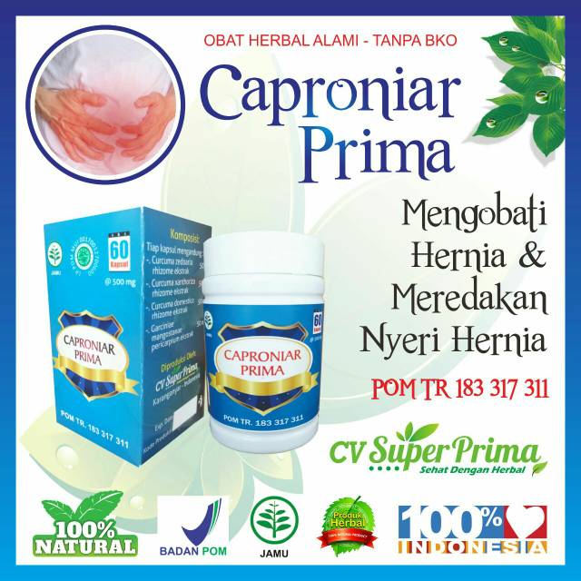 Herbal hernia/POM TR/obat hernia super prima