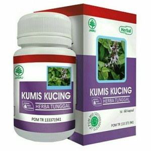 Kapsul Ekstrak Kumis Kucing / Herba Kumis Kucing