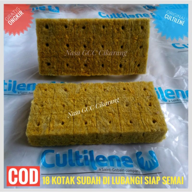 ROCKWOOL CULTILENE HIDROPONIK SIAP PAKAI SUDAH DI LUBANGI