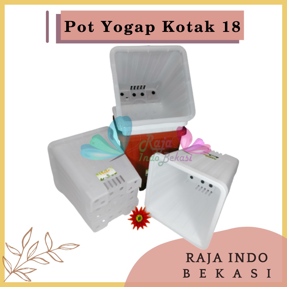 Pot Yogap Kotak 18 Putih Transparan Bening Merah Bata Coklat Terraccota Terakota Orange Pot Yogap 10 13 15 17 18 19 25 30 Pot Yogap Lusinan Pot Kotak Segi Pesegi Empat Panjang Tinggi