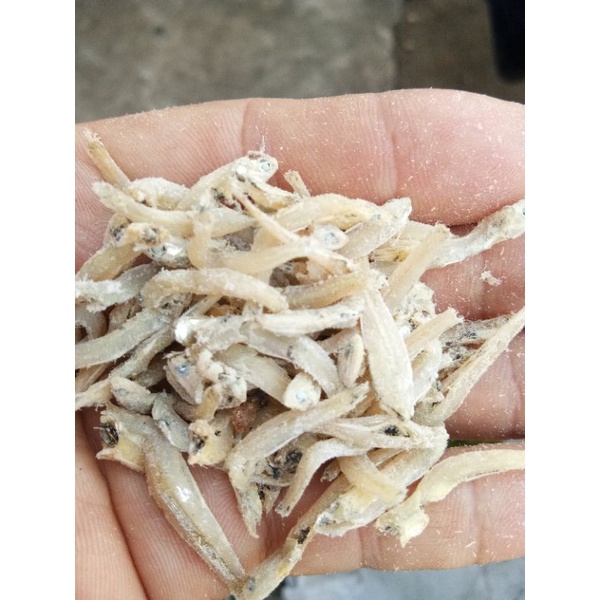 

Teri Kecil 1Kg
