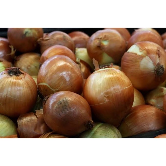 

Bawang bombai