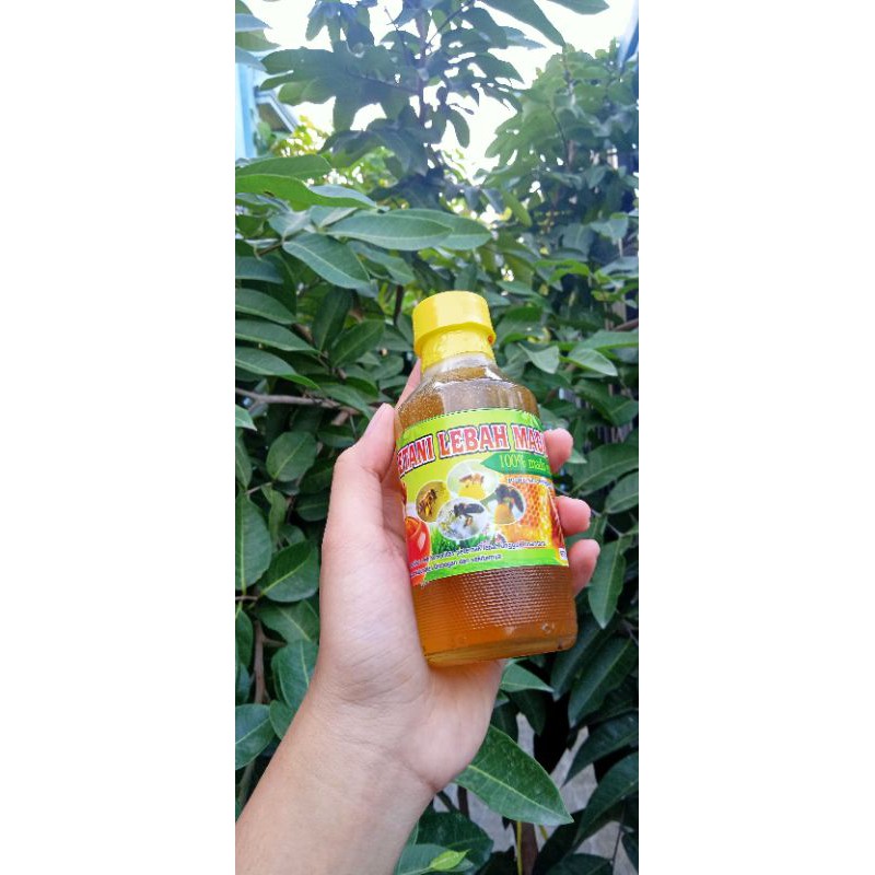 

Madu Murni Ukuran 150ml. 100% Madu murni