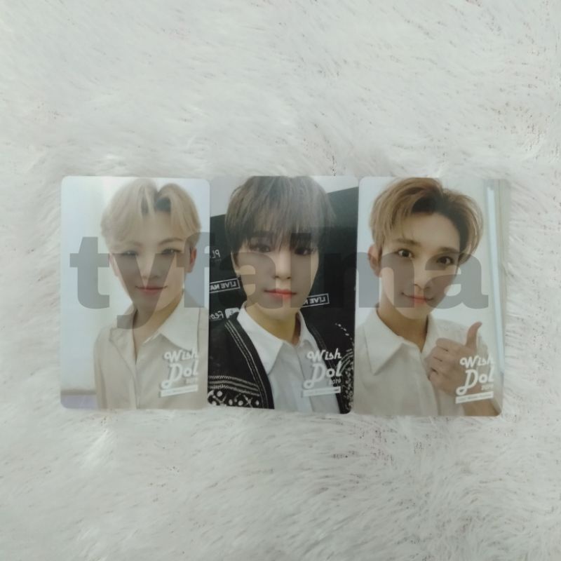 Seventeen Wishdol Photocard