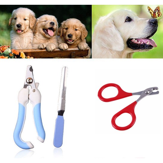 Gunting Kuku Anjing Kucing Kelinci Pet Nail Clipper