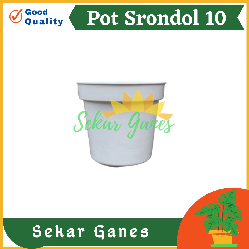 POT BUNGA 10cm PUTIH Pot Tanaman Hias Grosir Murah Plastik Pot 10 cm MURAH